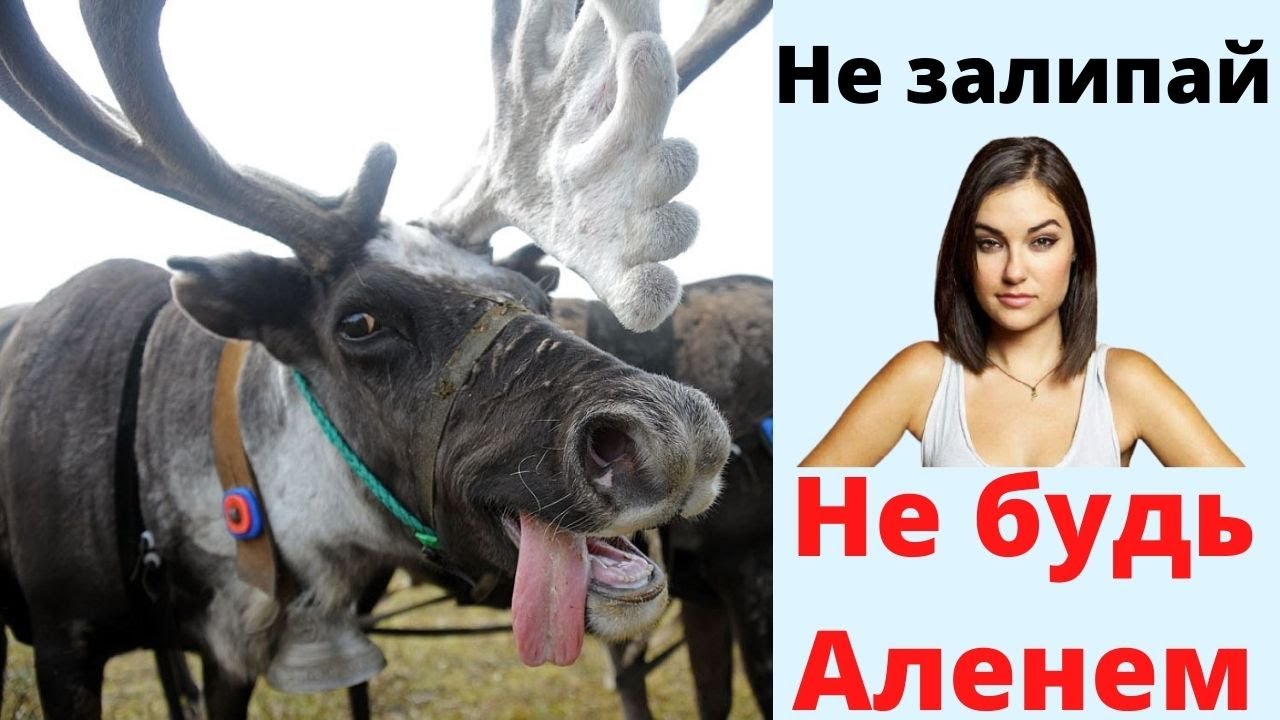 Залипает сцепление тигуан