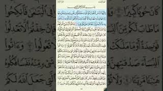 سورة النساء كاملة بصوت الشيخ سعد الغامدي والشيخ عبد الهادي كناكري.