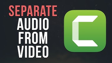 How To Remove Audio From Video In Camtasia