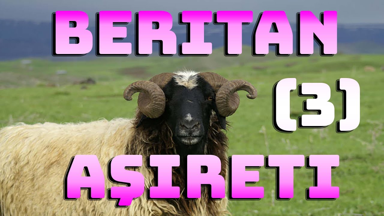 Beritan Aşireti Yollarda! (Hayatları At sırtında geçen Beritanlılar)