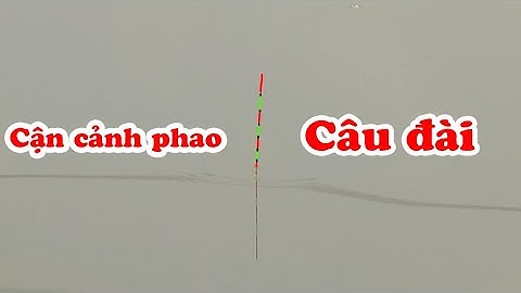 Cận cảnh nhịp phao cá ăn mồi - Câu đài tự nhiên