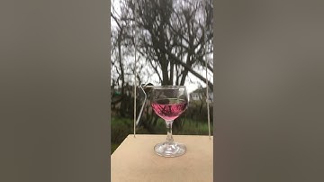 Circular motion failure #physicsfun #centripetalforce