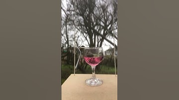 Circular motion failure #physicsfun #centripetalforce