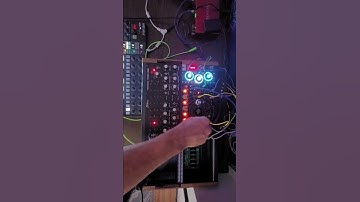 Techno With The Moog Dfam // Eowave Quadrantid Swarm // Arturia Beatstep Pro And Ableton. #Techno