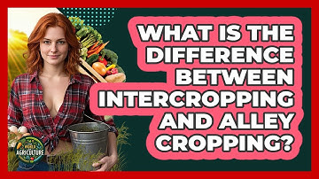 What Is The Difference Between Intercropping And Alley Cropping? - The World of Agriculture