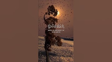 قرآن كريم بصوت جميل #اكسبلور #المصحف #quran #راحة_نفسية #لايك #قران_كريم