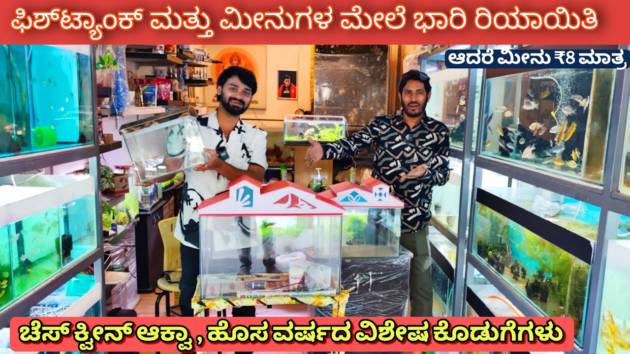 ಅಕ್ವೇರಿಯಂ ಪ್ರಿಯರ ಎಚ್ಚರಿಕೆ 🚨 | Fish & Fish Tank Mega Discount | chess queens AquaPets new year Offer 