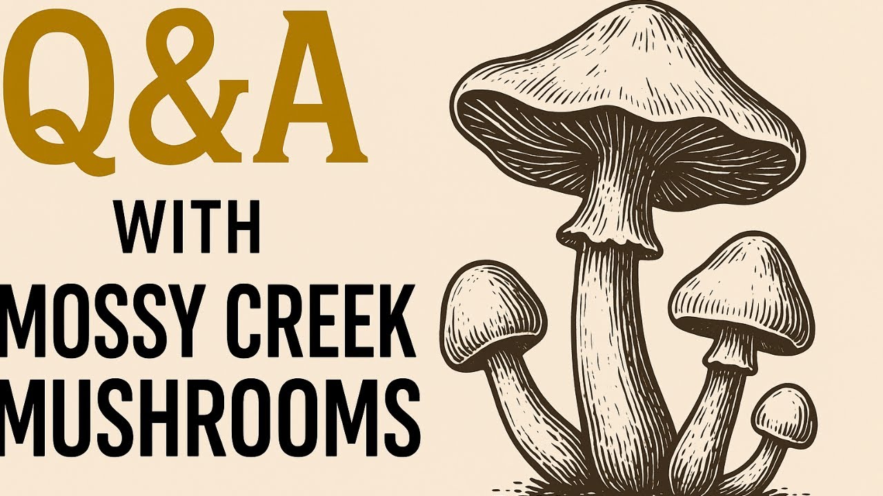 Soil, Self-Sufficiency & Mushrooms | Post–Survival Podcast Q&A | Jan 15th, 5 PM EST