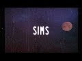Lauv Sims Lyrics Lauv Sims Lyrics