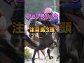 【フェブラリーS2026】注目馬3頭