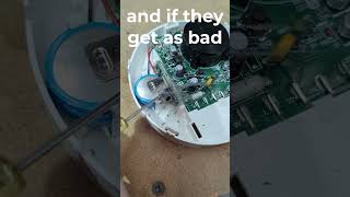 Tips to keep your smoke alarm free from bugs