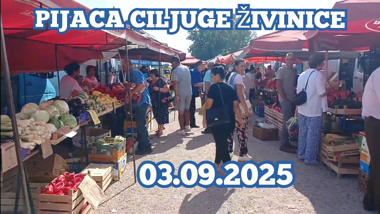 PIJACA CILJUGE-ŽIVINICE, 03.09.2025. vesela  raja veseli i kupci i prodavci