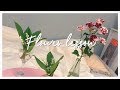 【花活け】お部屋にお花を飾りたい♡