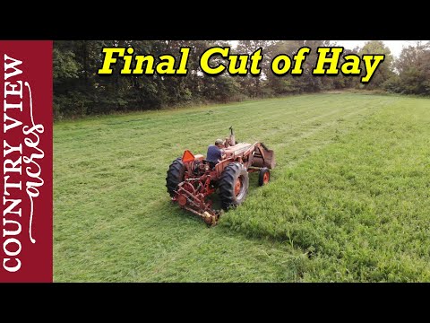 Video: Hay Mower (33 Mga Larawan): Self-propelled Ng Gasolina At Paikutin Para Sa Isang Tractor, Electric, Manual At Iba Pang Mga Uri Ng Mower Para Sa Hay