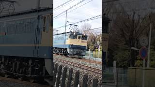 EF652066 タキ　電機機関車　国鉄特急色　高崎線　2024年1月