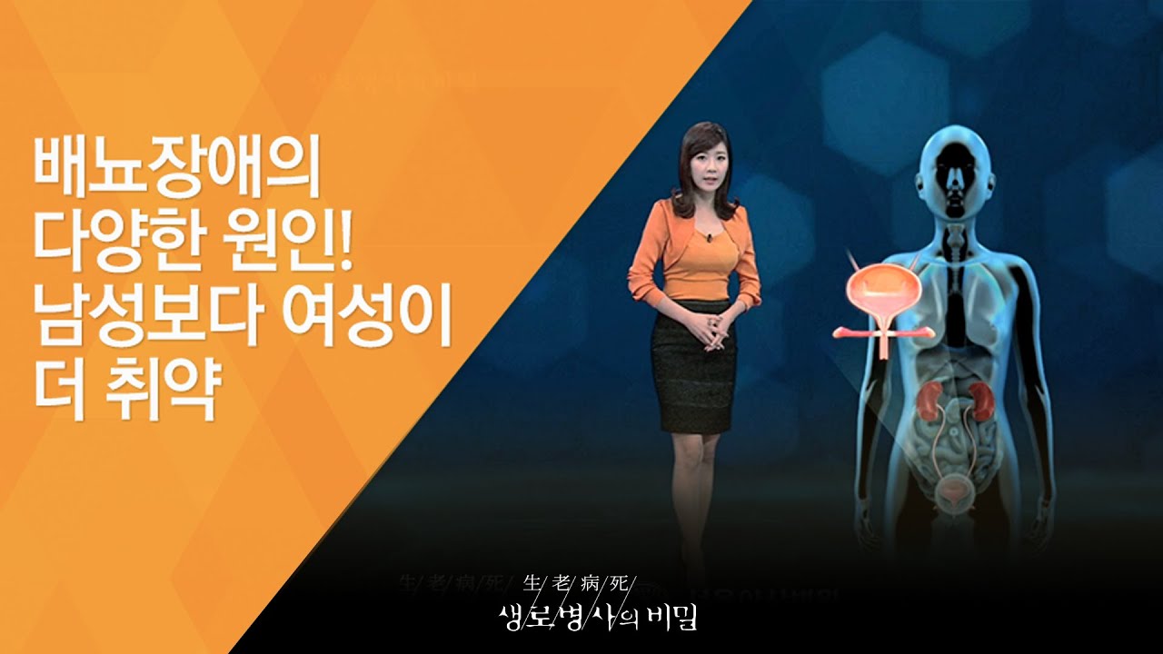 배뇨장애의 다양한 원인! 남성보다 여성이 더 취약 - (20121027_433회 방송)_말 못할 고민 - 배뇨장애