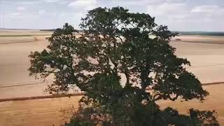 Moisson avec drone