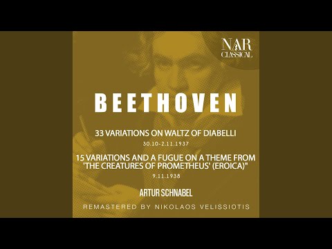 Guarda Eroica Variations, in E-Flat Major, Op.35, ILB 292: VIII. Variation 7. Canone all'ottava su YouTube
