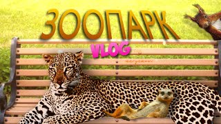 видео: ВЛОГ: ТЮМЕНСКИЙ ЗООПАРК 🦧 какие животные есть? 🐅 картинка: ВЛОГ: ТЮМЕНСКИЙ ЗООПАРК 🦧 какие животные есть? 🐅