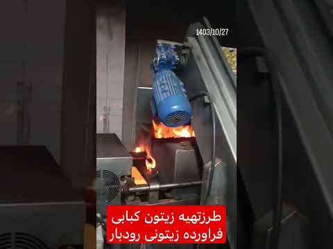 طرزتهیه زیتون کبابی ازفرآوری زیتون رودبار