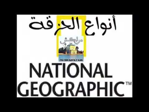 أنواع الحزقة 