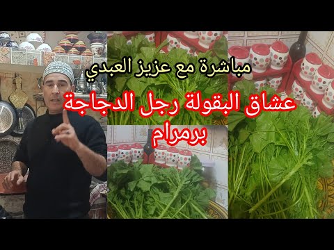 عشاق رجل الدجاجة البقولة برمرام هدا وقتها مكونات حصرية وطريقة مختالفة 