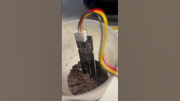 Checking LUX, soil status and water level.