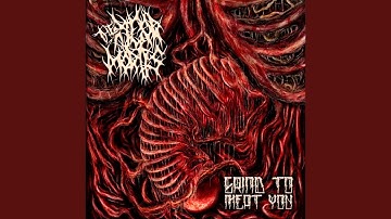 Stages of Corpse Decomposition