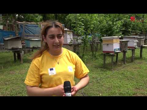 \"ქალისთვის ცოტა უჩვეულოდ ეჩვენებოდათ ჩემი საქმიაობა\" - 25 წლის მეფუტკრე მაღალმთიანი აჭარიდან