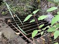 Unclogging Drain; Relaxing, Grass