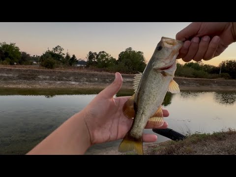 Fishing a small canal in a neighborhood  (BASS)￼ ￼
