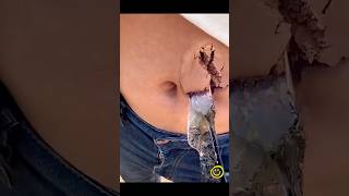 Cool Gadgetssmart Appliances, Home