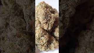 MAC 1 Cannabis strain review/W Dr. Greenbody