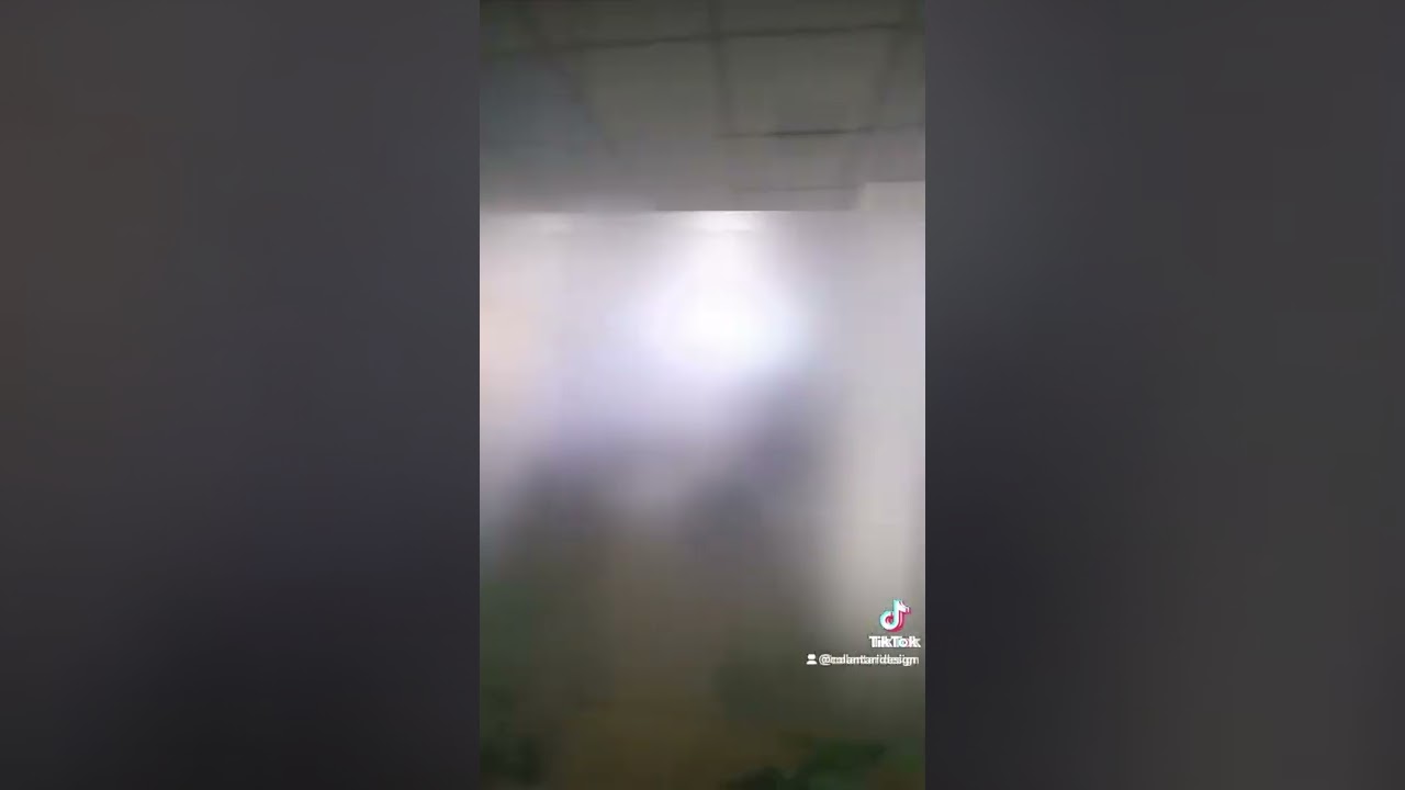 colantari pereți și geamuri sticla 