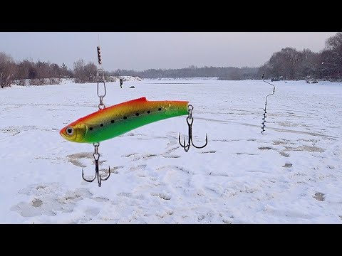 СУДАК НА ВИБЫ ЗИМОЙ! Опустил на глубину и удары! Ловля судака со льда! Зимняя рыбалка 2023 - 2024!