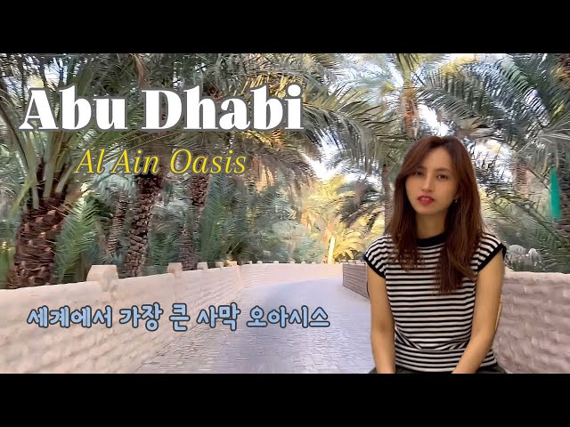 Travel vlog - Abu Dhabi Travel | Al Ain Oasis in the desert of UAE (UNESCO World Heritage), Desert Sunset Golf 