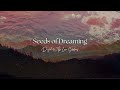 SEEDS OF DREAMING - Diyet & The Love Soldiers (the most personal song that I’ve written)