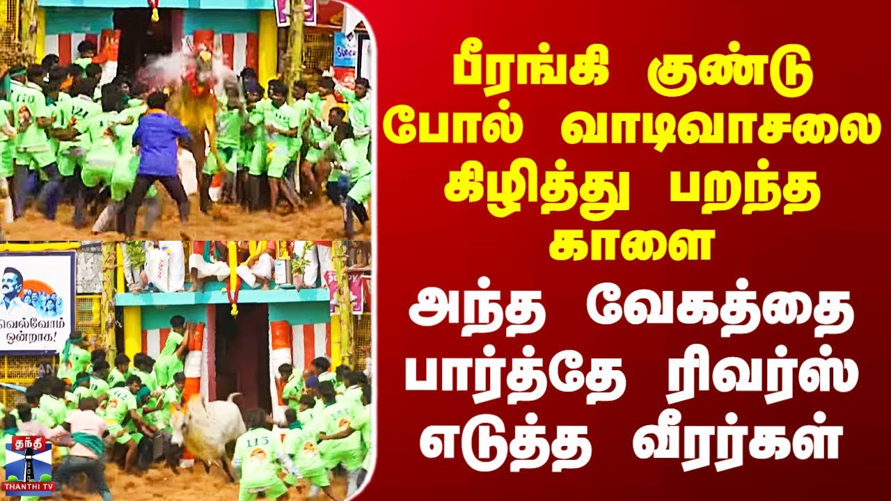 Palamedu Jallikattu | வாடிவாசலை கிழித்து பறந்த காளை - வேகத்தை பார்த்தே ரிவர்ஸ் எடுத்த வீரர்கள்