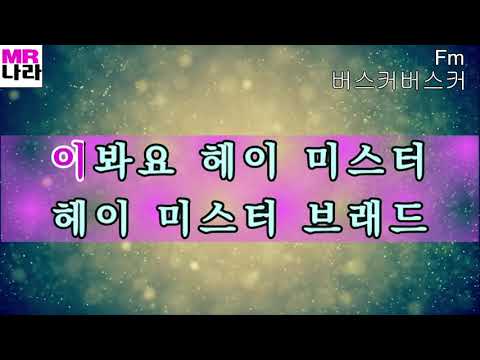 서울사람들-버스커버스커 전문가,프로용 반주 MR,노래방, 멜로디제거 (엠알나라)