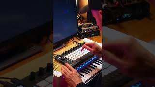 Flipping a Sample on Ableton Move