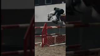 show jumping part 8