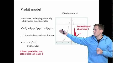 Heckman sample selection model
