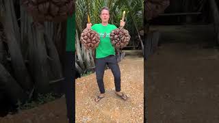 The Most Unique Fruit in the World  Here's How You Eat It! #Shorts