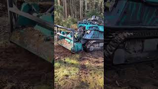 Pfanzelt Moritz | Versatile Machine for Forestry and Terrain Work