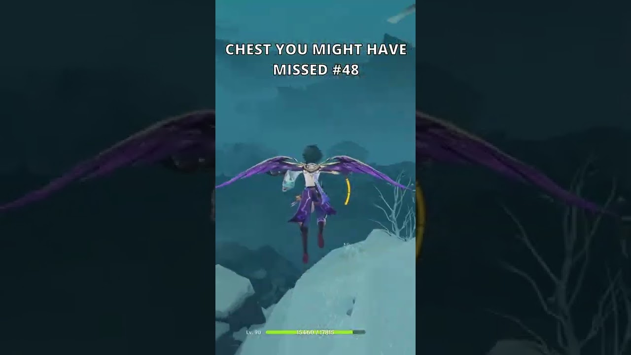 HIDDEN CHEST you might have missed #48 | Genshin Impact 