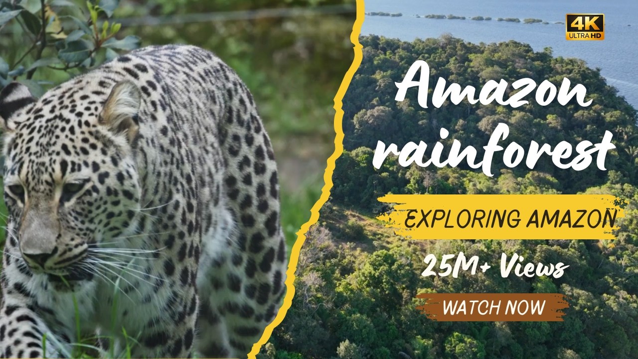 Amazon Rainforest: Nature's Wild Paradise.