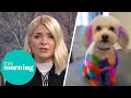 Dog Groomer Criticised For Dyeing Dog Hair Bright Colours | This Morning