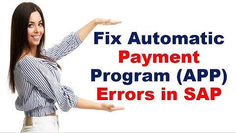 Fix Automatic Payment Program (APP) Errors in SAP | Common Issues & Solutions Explained