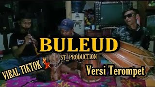 Lagu viral tiktok | BULEUD - Cover ST_PRODUCTION