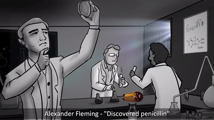 The Rules of Antibiotics